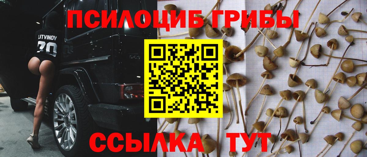 Галлюциногенные грибы GOLDEN TEACHER Назрань